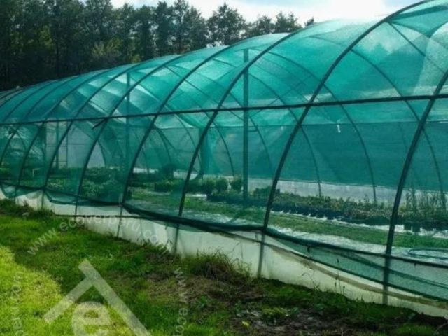 Invernadero Verde Agrícola